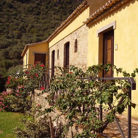 Azienda Agrituristica Biologica Il Querceto Santa Severina المظهر الخارجي الصورة