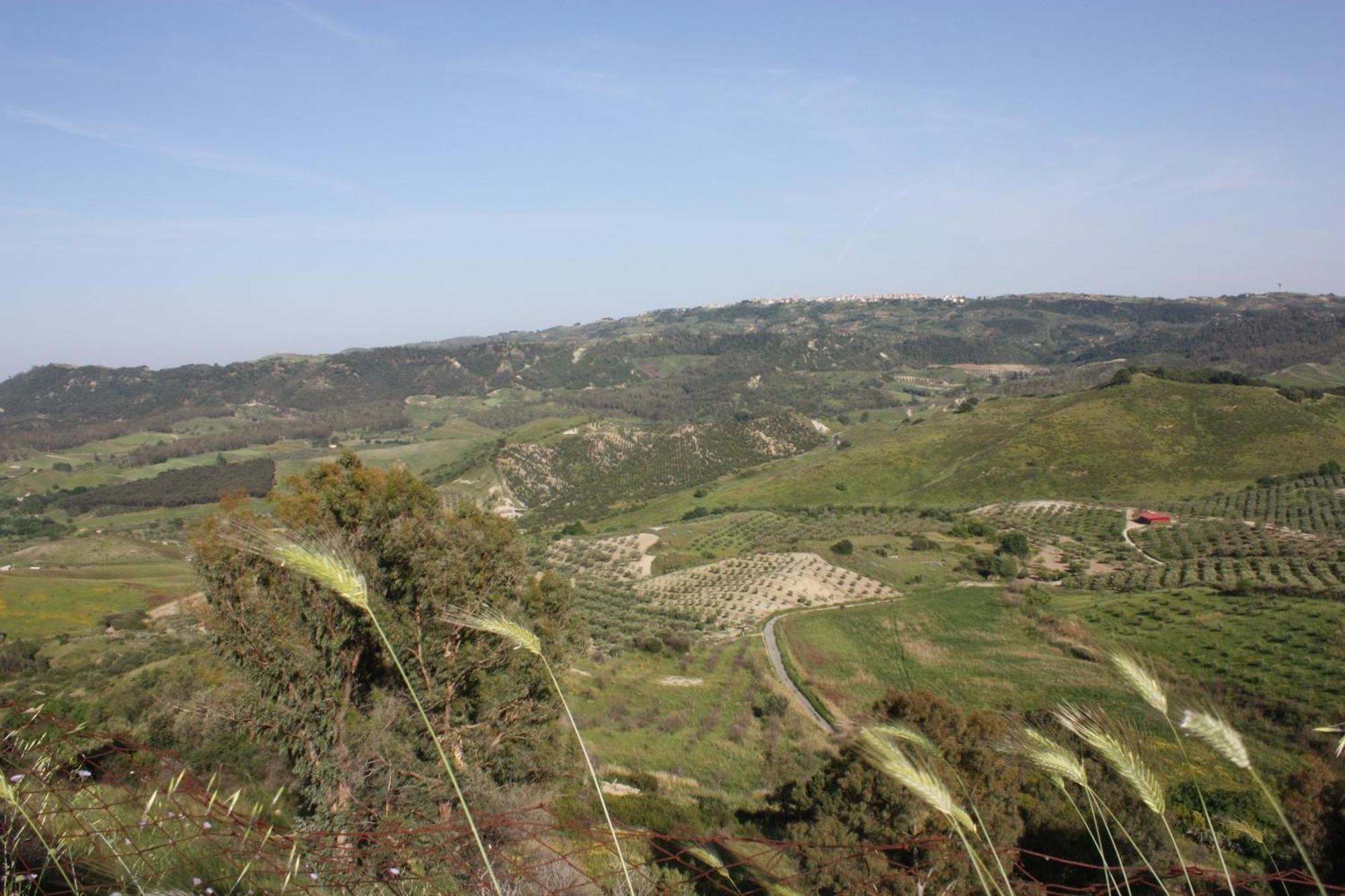 Azienda Agrituristica Biologica Il Querceto Santa Severina المظهر الخارجي الصورة