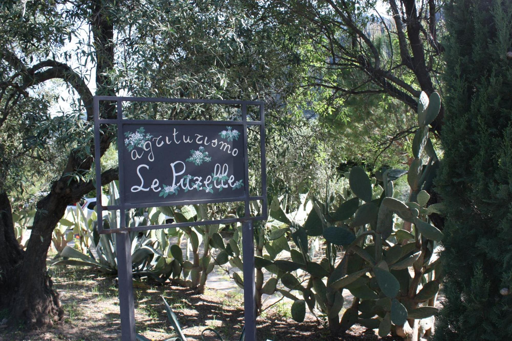 Azienda Agrituristica Biologica Il Querceto Santa Severina المظهر الخارجي الصورة
