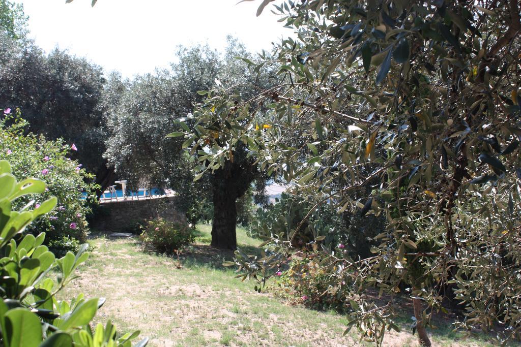 Azienda Agrituristica Biologica Il Querceto Santa Severina المظهر الخارجي الصورة