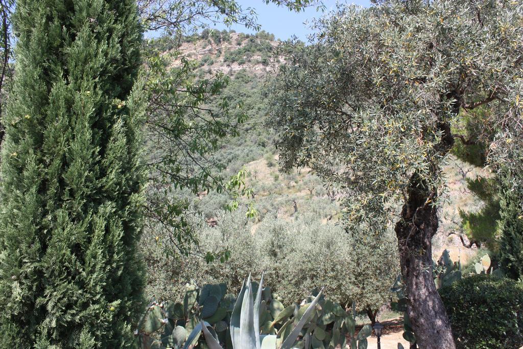 Azienda Agrituristica Biologica Il Querceto Santa Severina المظهر الخارجي الصورة