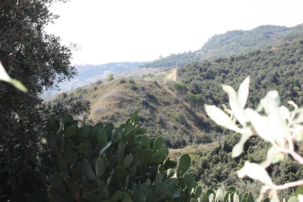 Azienda Agrituristica Biologica Il Querceto Santa Severina المظهر الخارجي الصورة