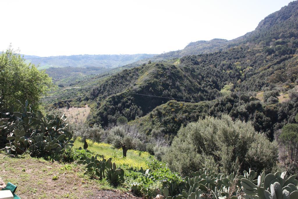 Azienda Agrituristica Biologica Il Querceto Santa Severina المظهر الخارجي الصورة