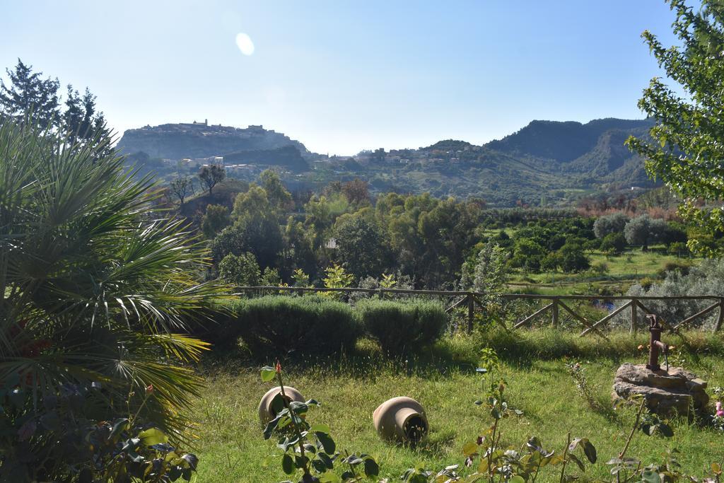 Azienda Agrituristica Biologica Il Querceto Santa Severina المظهر الخارجي الصورة