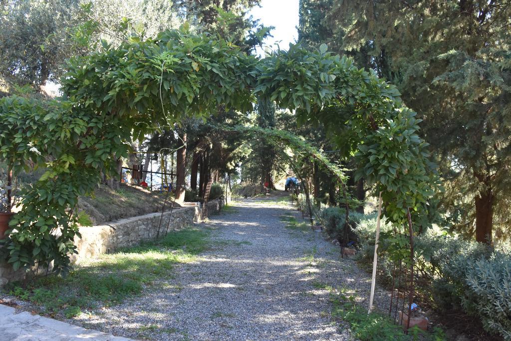 Azienda Agrituristica Biologica Il Querceto Santa Severina المظهر الخارجي الصورة