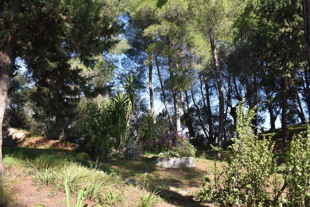 Azienda Agrituristica Biologica Il Querceto Santa Severina المظهر الخارجي الصورة